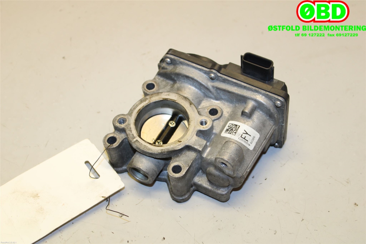 Spjeldhus til Nissan Qashqai, 2014-2021 (Type II) (161206038R ...