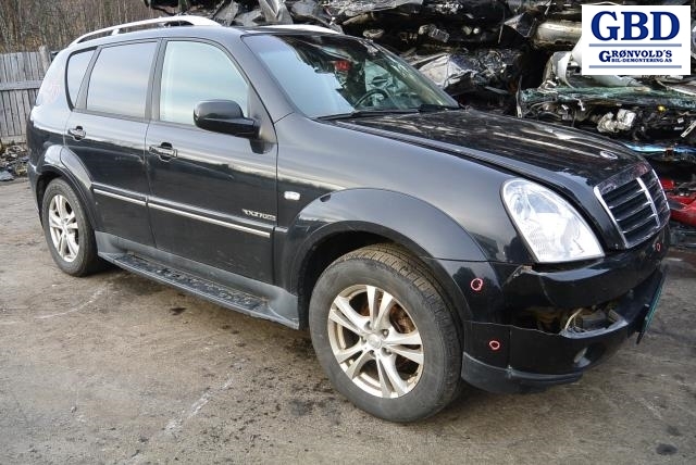 Ssangyong rexton y250